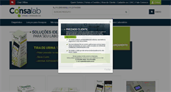 Desktop Screenshot of consalab.com.br